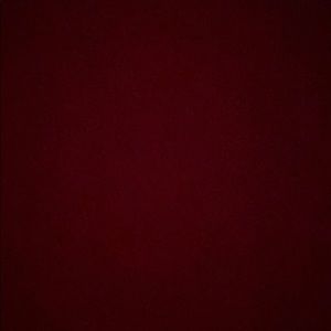 Meet your Posher, Bella